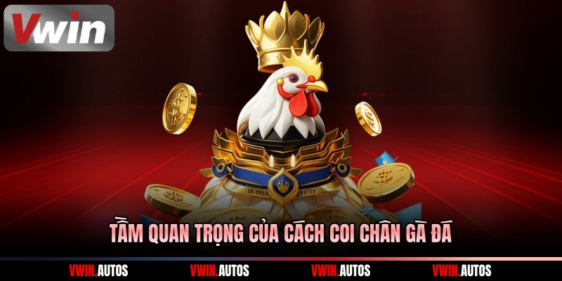 Tầm quan trọng của cách coi chân gà đá