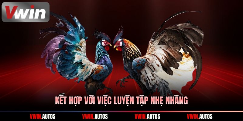 Kết hợp với việc luyện tập nhẹ nhàng