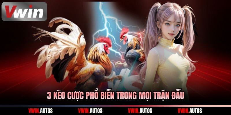 3 kèo cược phổ biến trong mọi trận đấu