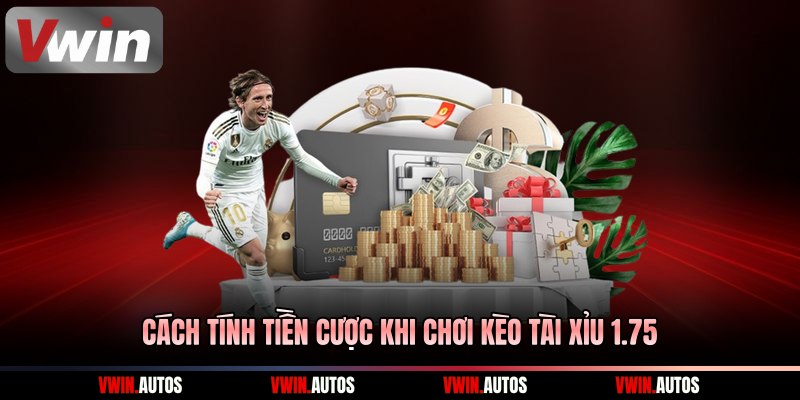 Cách tính tiền cược khi chơi kèo tài xỉu 1.75